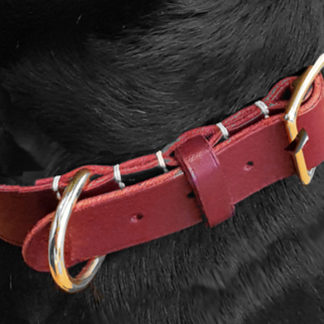 Dog collar class